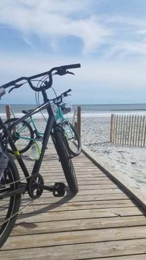 Beach Bike Shop Services